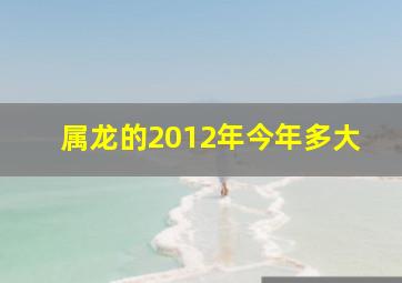 属龙的2012年今年多大