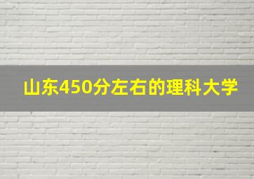 山东450分左右的理科大学