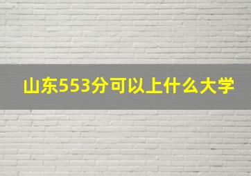 山东553分可以上什么大学