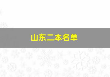 山东二本名单