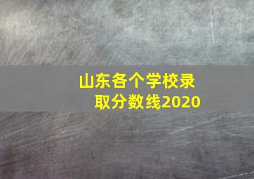 山东各个学校录取分数线2020