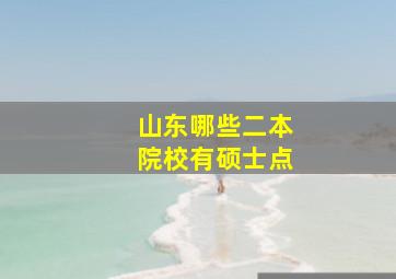 山东哪些二本院校有硕士点