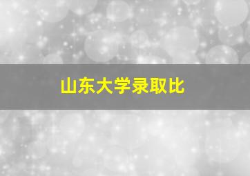 山东大学录取比