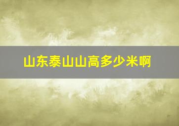 山东泰山山高多少米啊