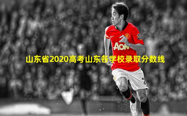 山东省2020高考山东各学校录取分数线