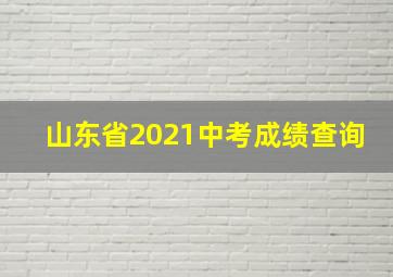 山东省2021中考成绩查询