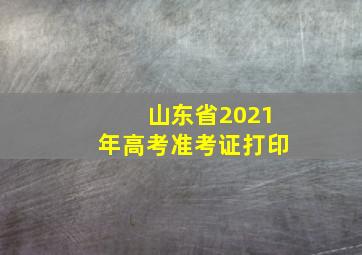 山东省2021年高考准考证打印