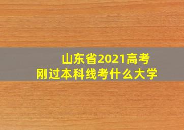 山东省2021高考刚过本科线考什么大学