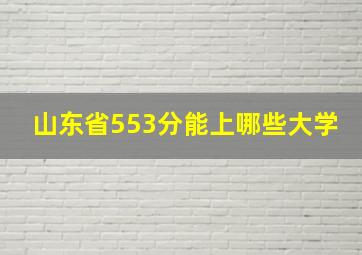 山东省553分能上哪些大学