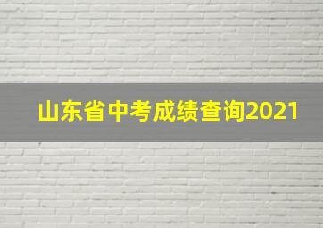 山东省中考成绩查询2021