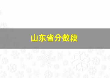 山东省分数段