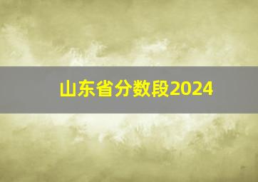 山东省分数段2024