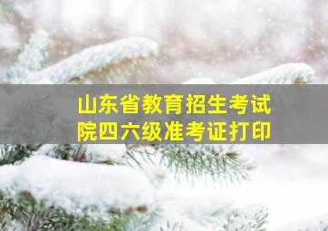 山东省教育招生考试院四六级准考证打印