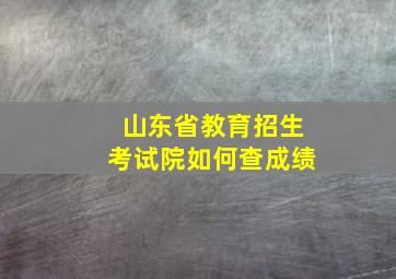 山东省教育招生考试院如何查成绩