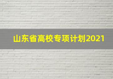 山东省高校专项计划2021