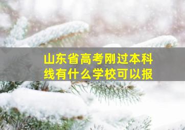 山东省高考刚过本科线有什么学校可以报