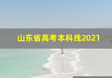 山东省高考本科线2021