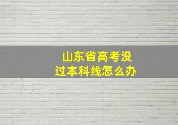 山东省高考没过本科线怎么办