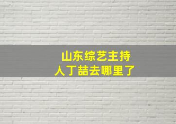 山东综艺主持人丁喆去哪里了