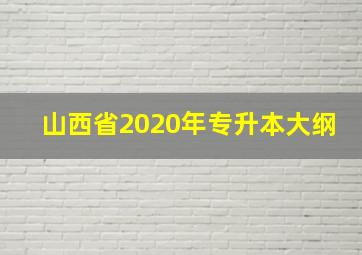 山西省2020年专升本大纲