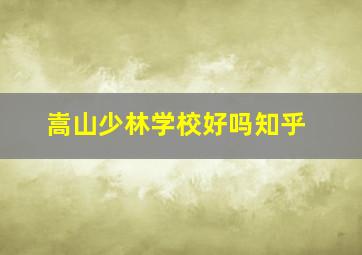 嵩山少林学校好吗知乎