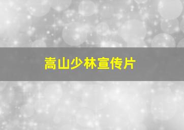 嵩山少林宣传片