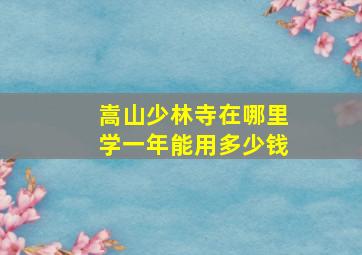 嵩山少林寺在哪里学一年能用多少钱