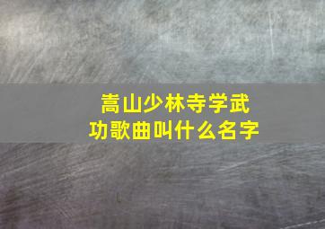 嵩山少林寺学武功歌曲叫什么名字