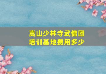 嵩山少林寺武僧团培训基地费用多少