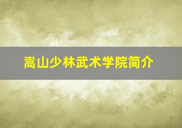 嵩山少林武术学院简介