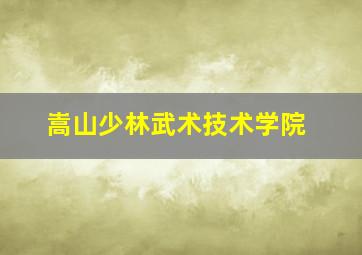 嵩山少林武术技术学院