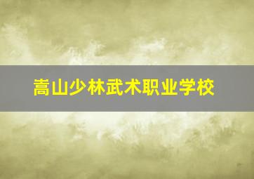 嵩山少林武术职业学校