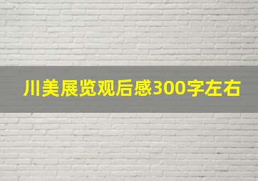 川美展览观后感300字左右