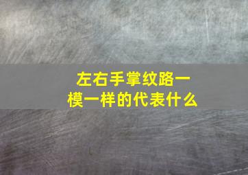 左右手掌纹路一模一样的代表什么