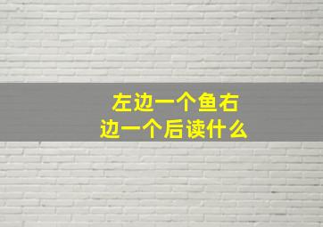 左边一个鱼右边一个后读什么