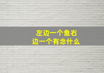 左边一个鱼右边一个有念什么