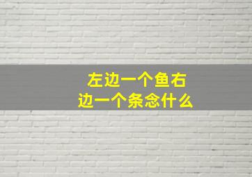 左边一个鱼右边一个条念什么