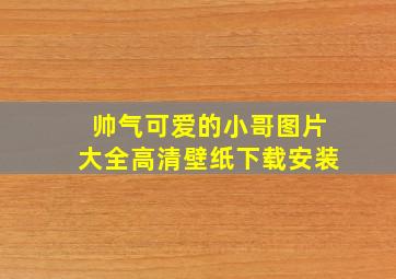 帅气可爱的小哥图片大全高清壁纸下载安装