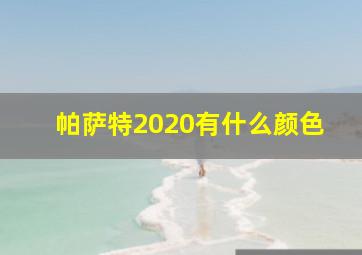 帕萨特2020有什么颜色