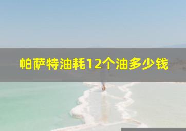 帕萨特油耗12个油多少钱