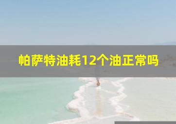 帕萨特油耗12个油正常吗