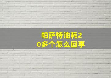 帕萨特油耗20多个怎么回事