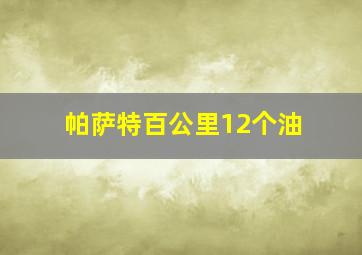 帕萨特百公里12个油