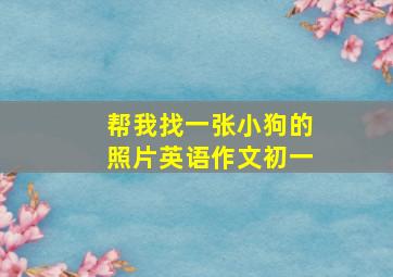 帮我找一张小狗的照片英语作文初一