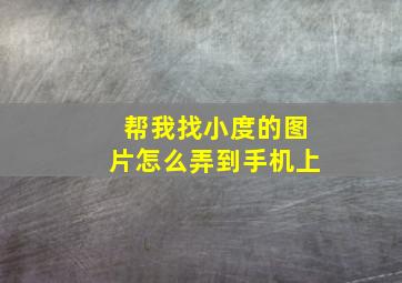 帮我找小度的图片怎么弄到手机上