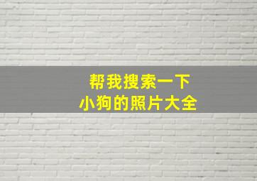 帮我搜索一下小狗的照片大全