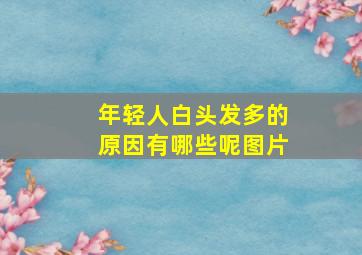 年轻人白头发多的原因有哪些呢图片