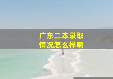 广东二本录取情况怎么样啊