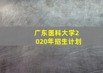 广东医科大学2020年招生计划