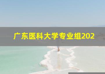 广东医科大学专业组202